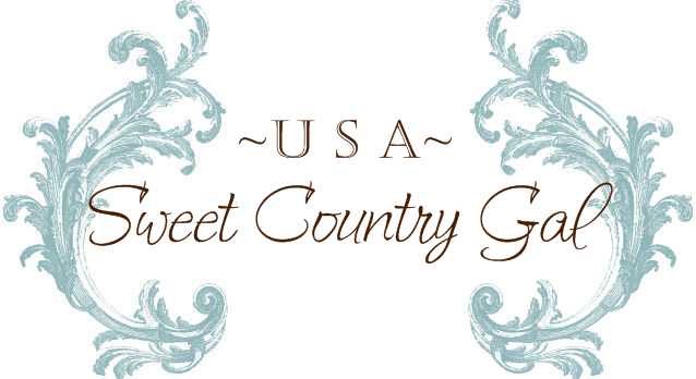 ~USA~ Sweet Country Gal