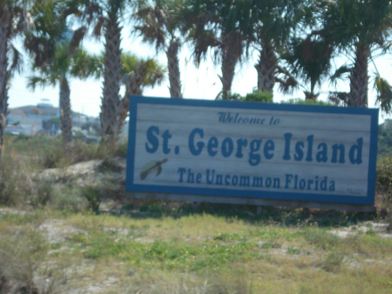 Stafford's On The Road St Island, Florida