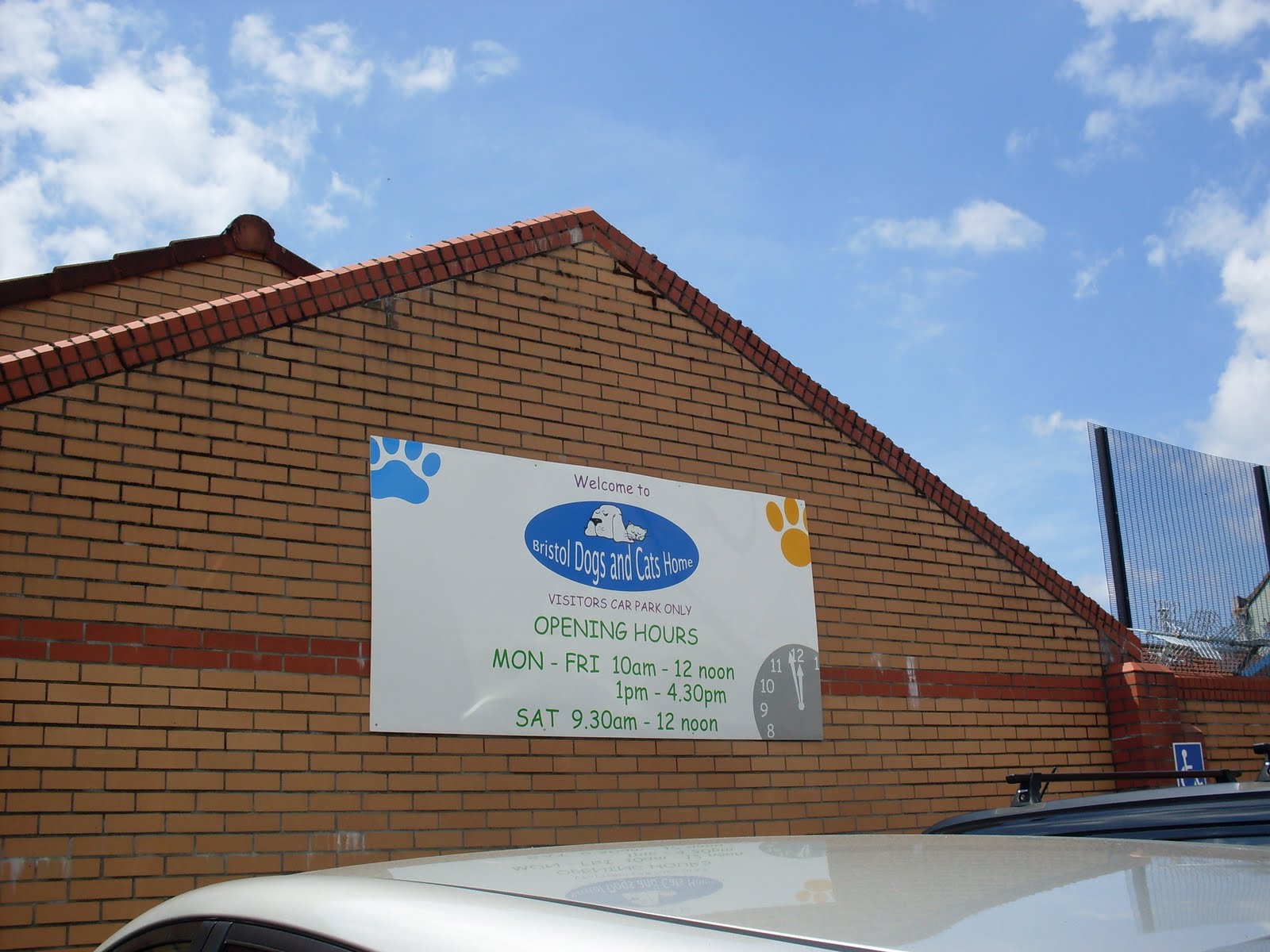 Caffeine dose for you! Bristol Dogs & Cats Home