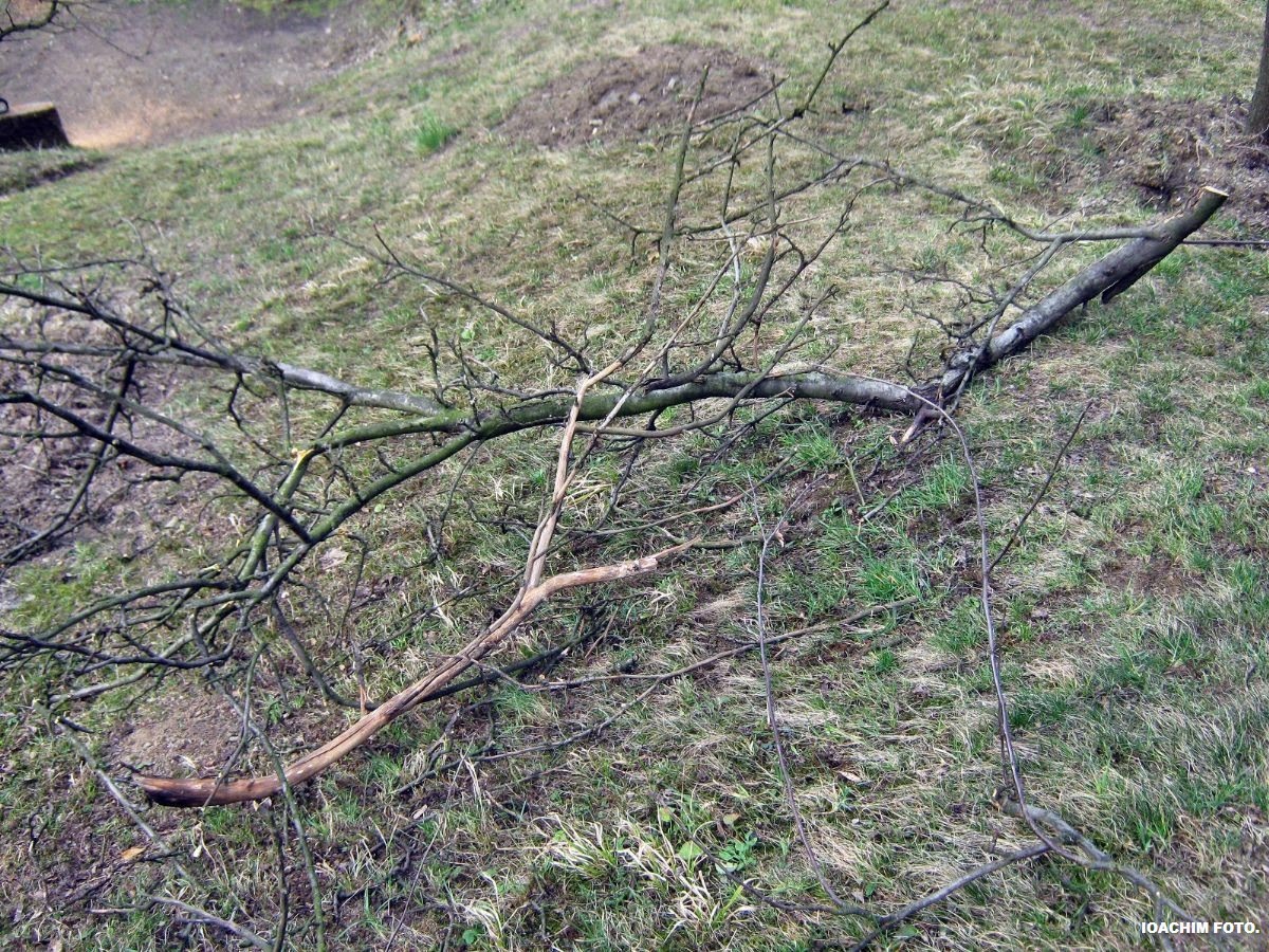 [IMG_6092.JPG]