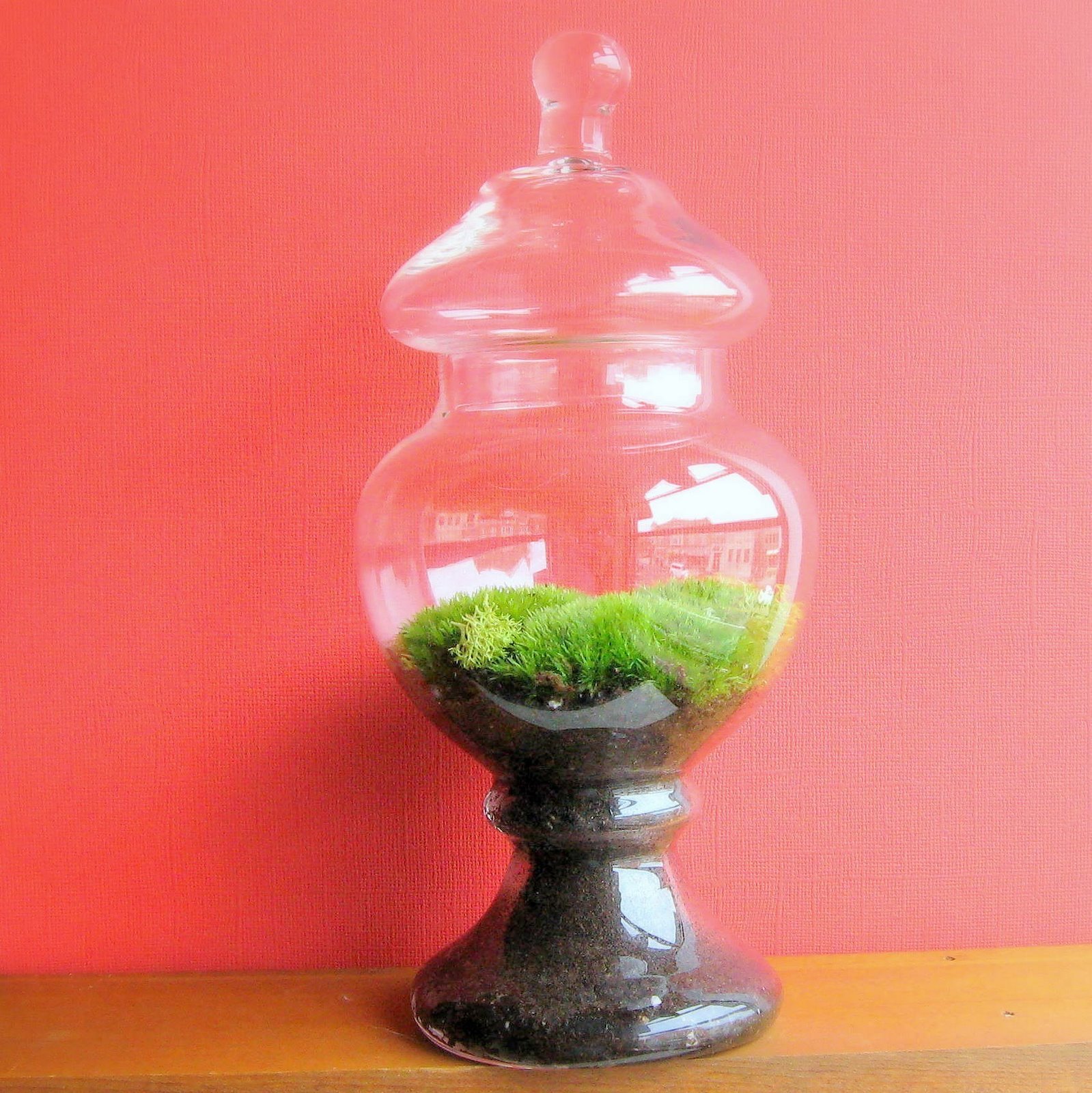 [il_fullxfull.73406762.jpg]