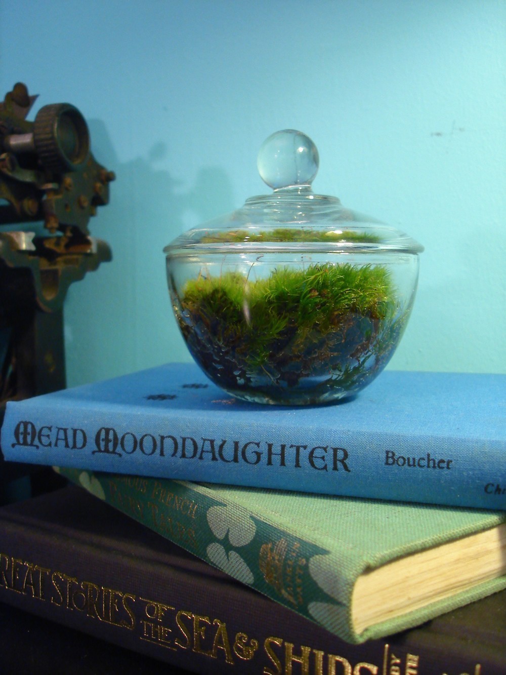 [il_fullxfull.73949785.jpg]