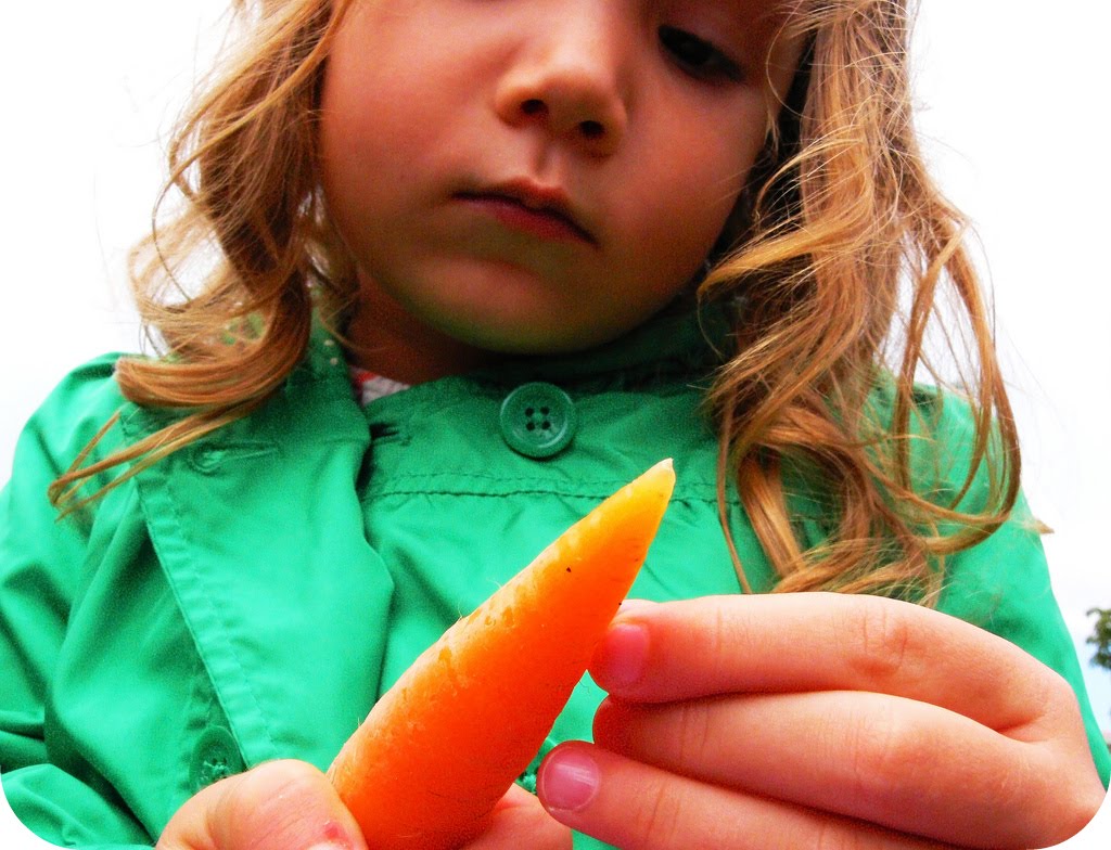 [3514199904_11f25c3c6a_b.jpg]