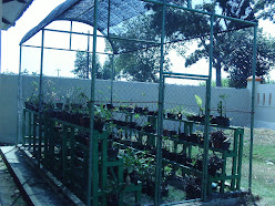 GREEN HOUSE