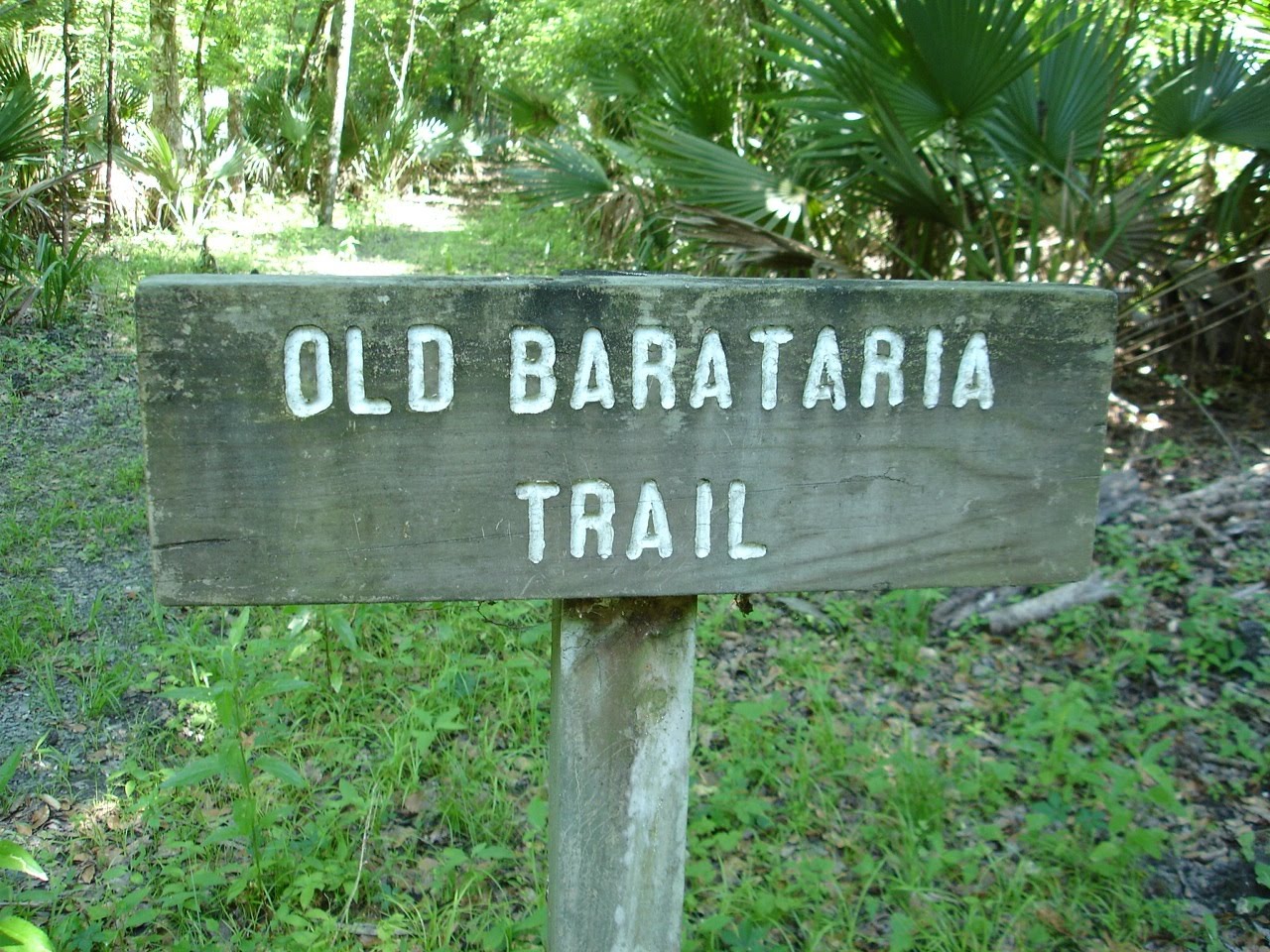 pic journal Old Barataria Trail