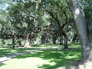 City Park Avenue Entrance (city park )