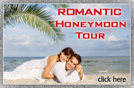 Honeymoon Tours by Travel Agency India