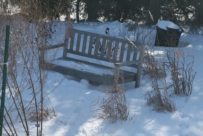 [Bench.JPG]