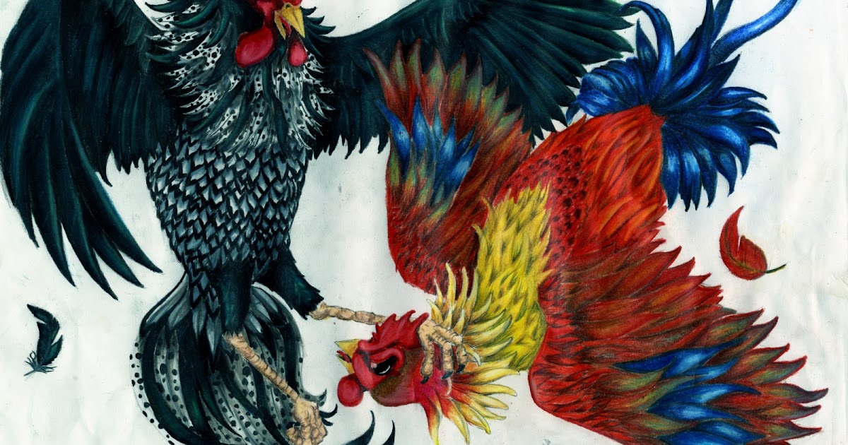 Ruby Bronx: Cockfight tattoo design