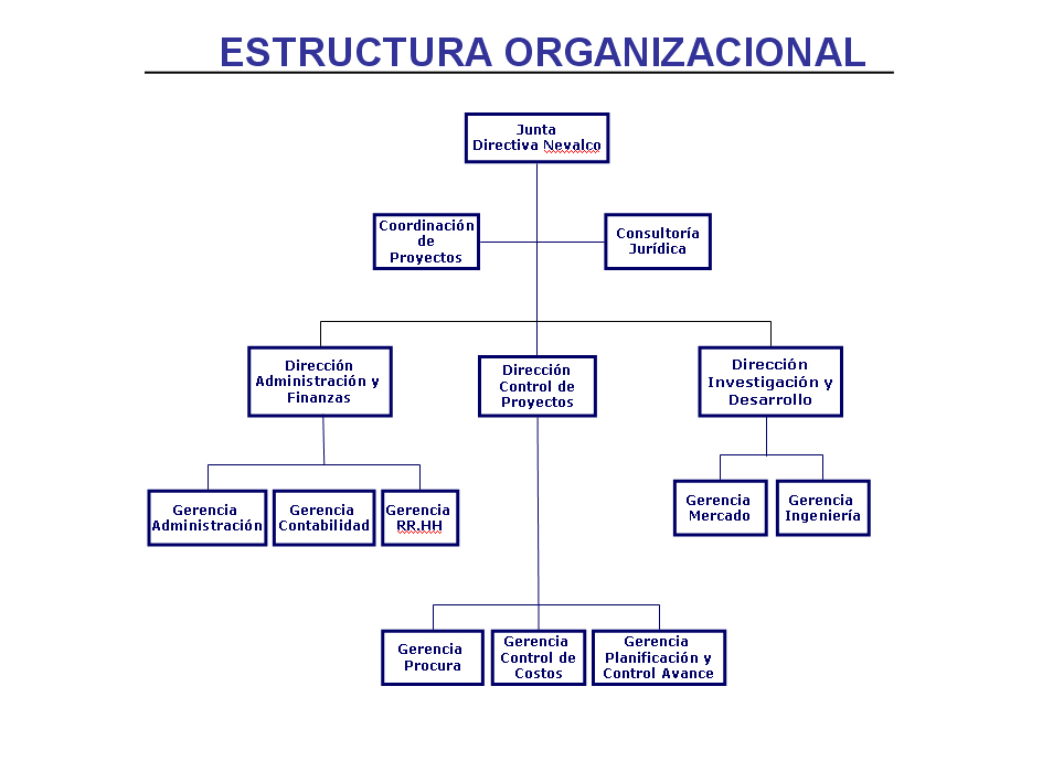 EMPRESA ESTRUCTURA empresa estructura:
