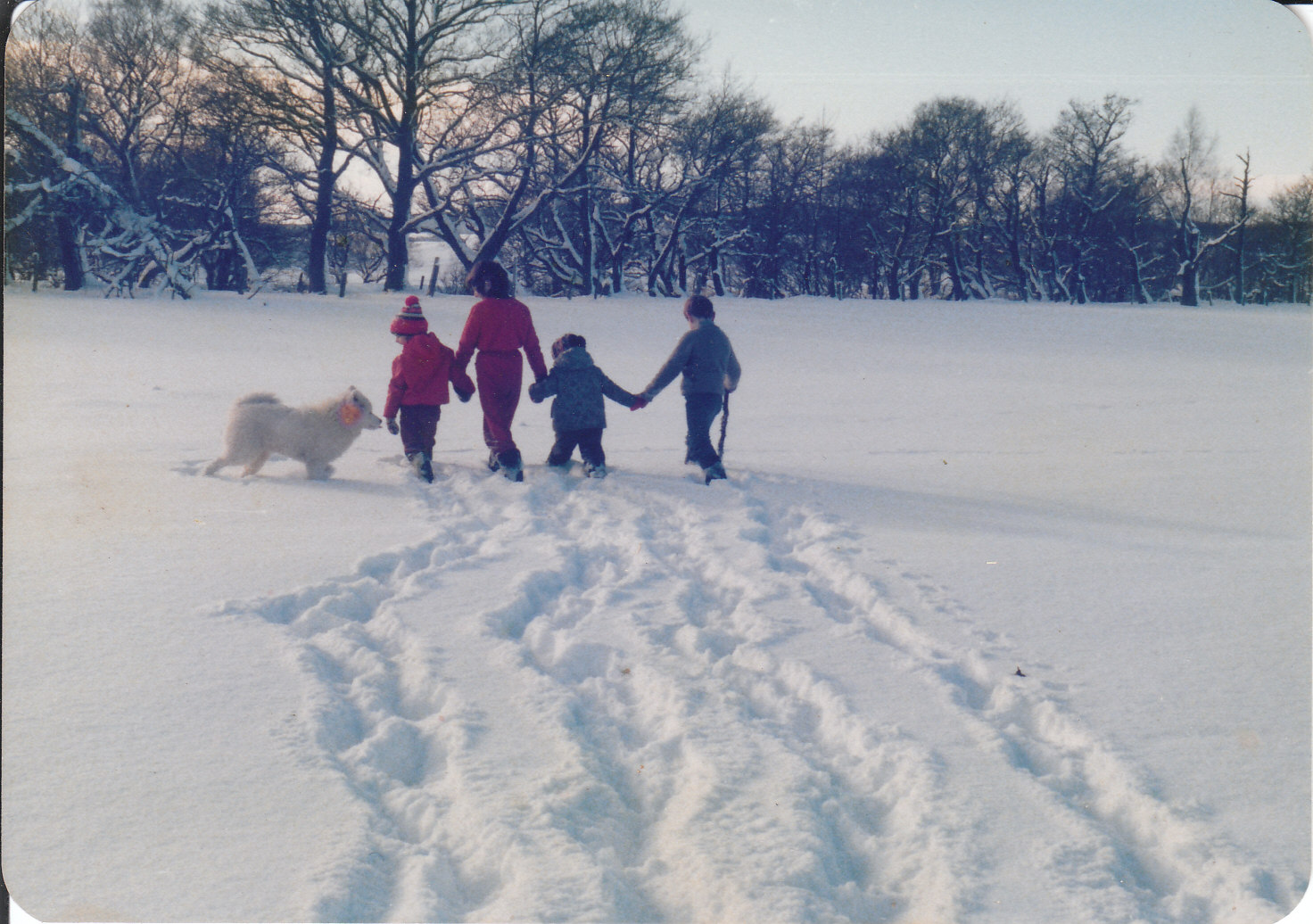 [4+children+in+snow+at+Nethy.jpg]