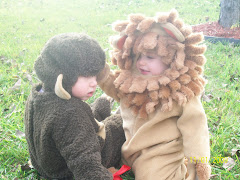The Lion and Monkey!