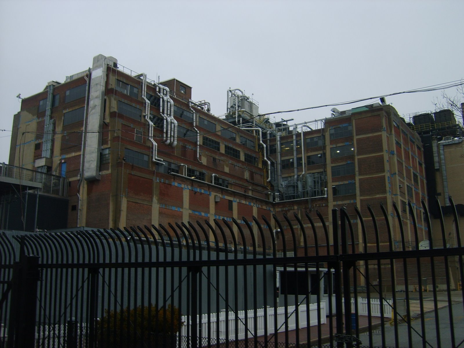 [S5003831.JPG]