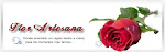 Nuestras tiendas on-line