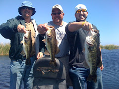 Great Bass day at Lake Ashton