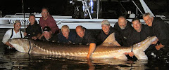 1000 lb fish caught in Lake Ashton by the fisherman's club