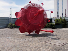 Pasionaria en Puerto Madero -BA