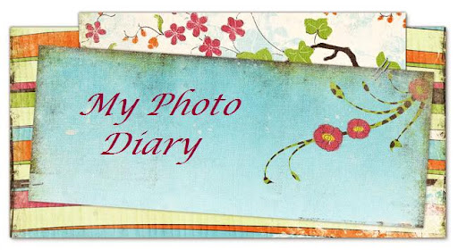 My Photo Diary