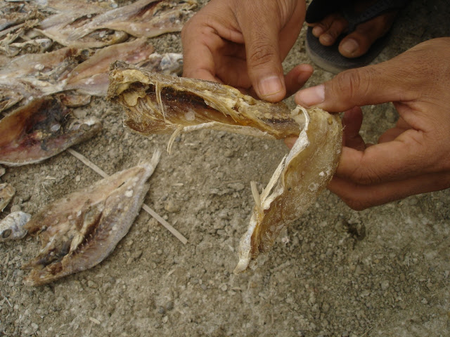 Jakhau Kutch gujarat port fish