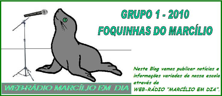 GRUPO 1 - 2010 - FOQUINHAS DO MARCÍLIO