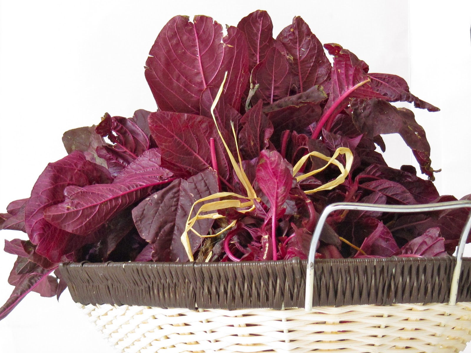 Plateful Red Spinach Curry — Cheera Curry