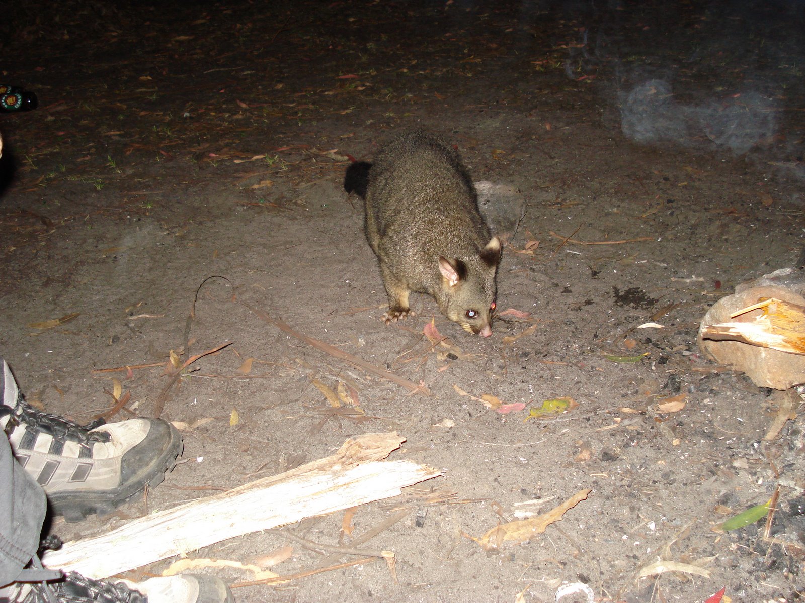 [DSC07687.JPG]