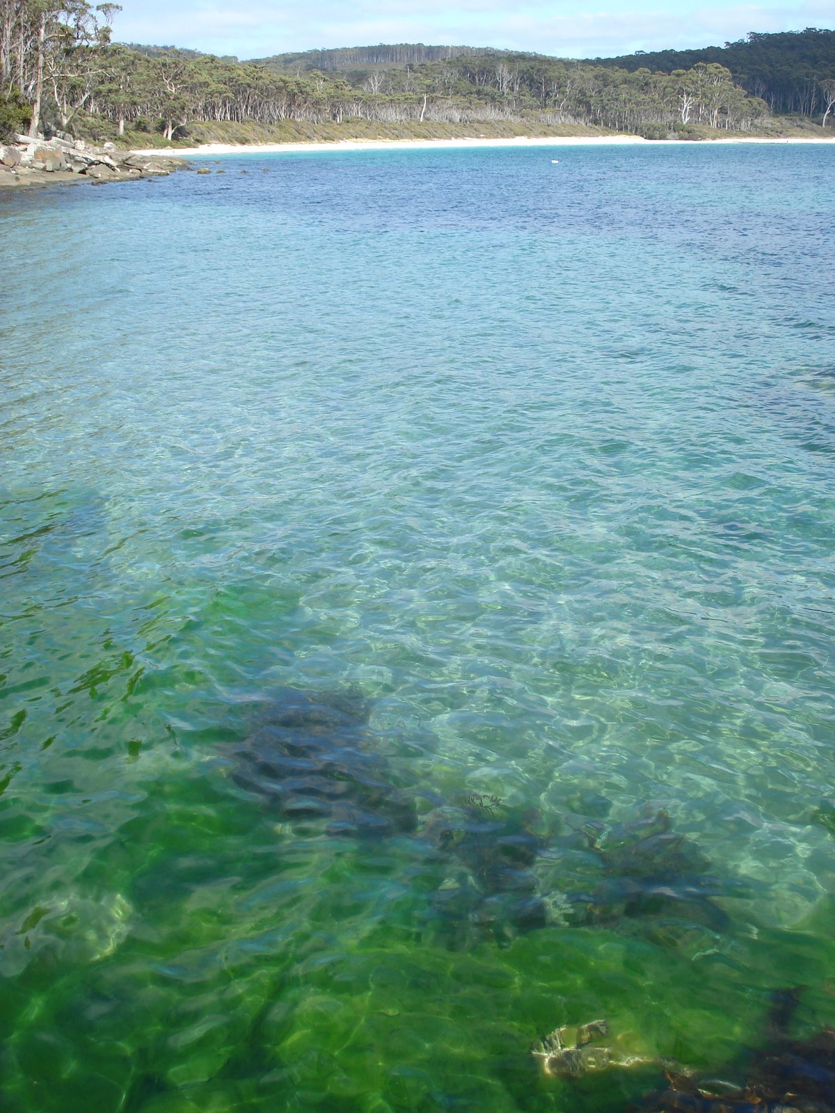 [DSC07693.JPG]