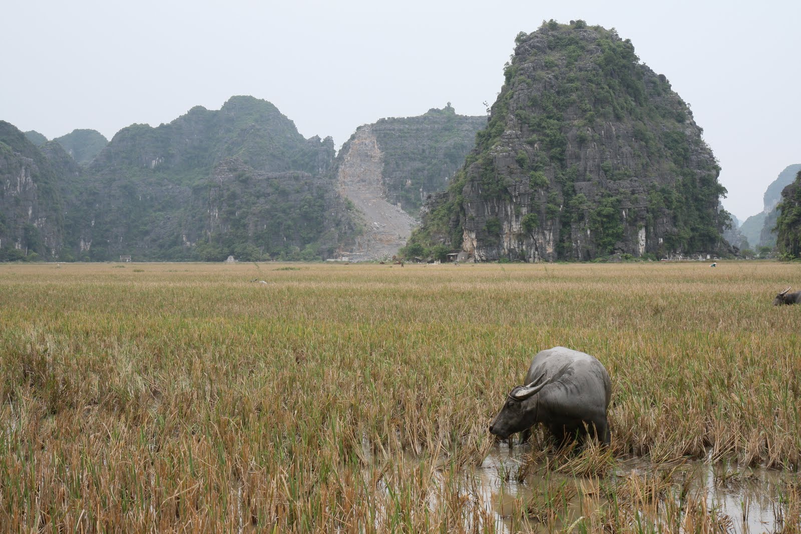[IMG_3869.JPG]