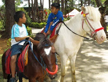 The Young Businessmen for a Horse Riding