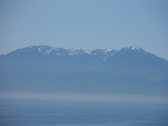 View of the Washington mountains