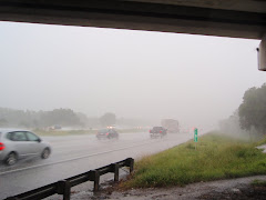 Rain in Port Charlotte, FL