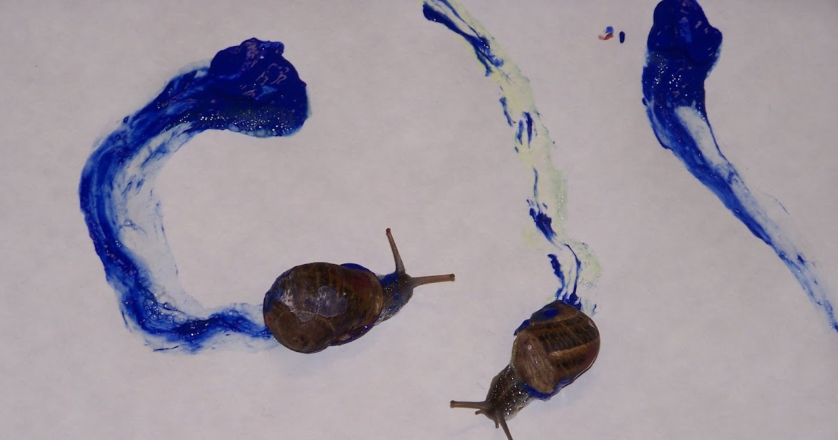 Learning and Teaching With Preschoolers Snail Trails
