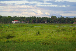 komgpong cham