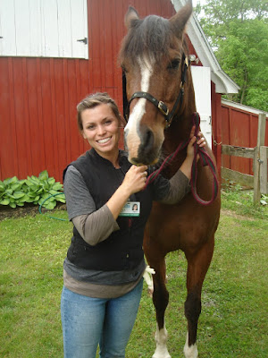Horse Sheath Cleaning
