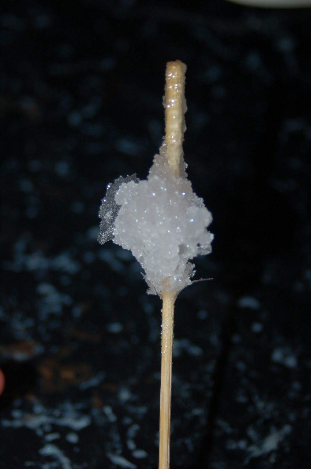 Chemistry in the Kitchen Make Your Own Edible Rock Candy! Surviving