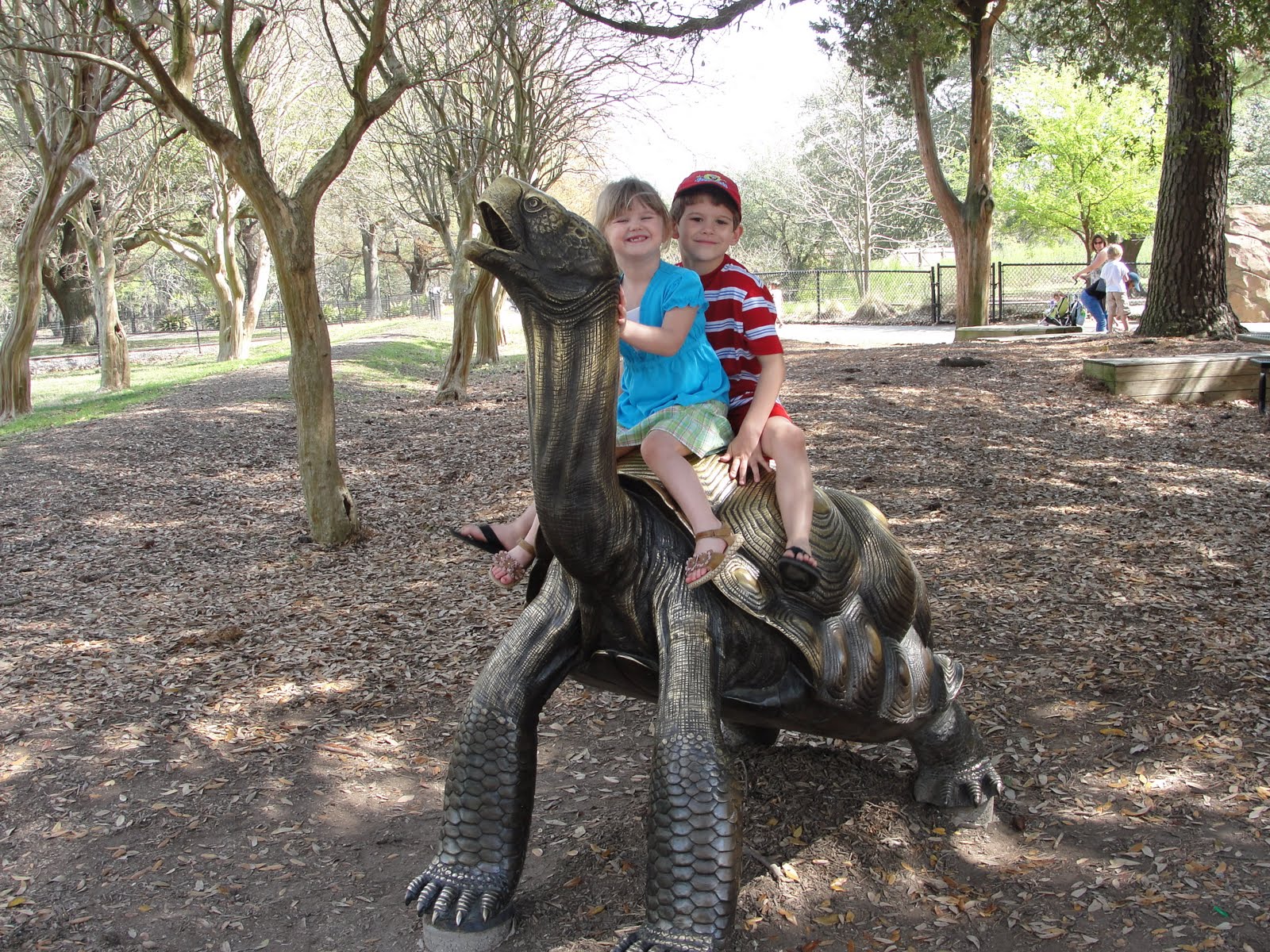 Kid Riding Turtle