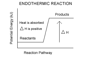 endothermic reaction examples