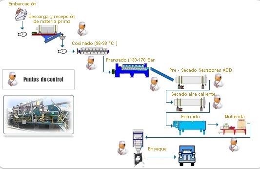 Ing de Sistemas: PRODUCCION EN CHIMBOTE diagrama de pescado 