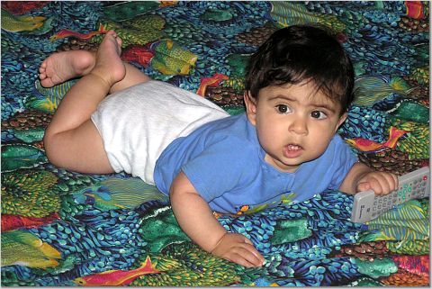 [crawling[1].jpg]