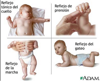 [Imagen1[1].png]