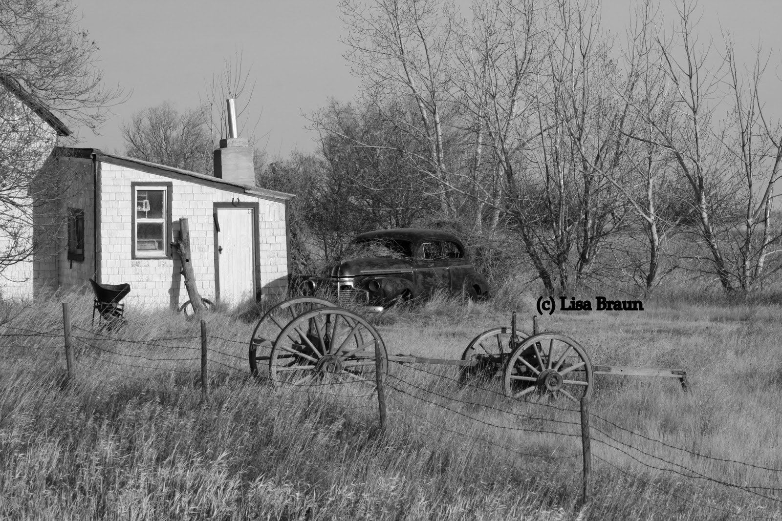 Photography by Lisa 2012 SK Hidden Treasures