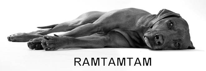 ramtamtam