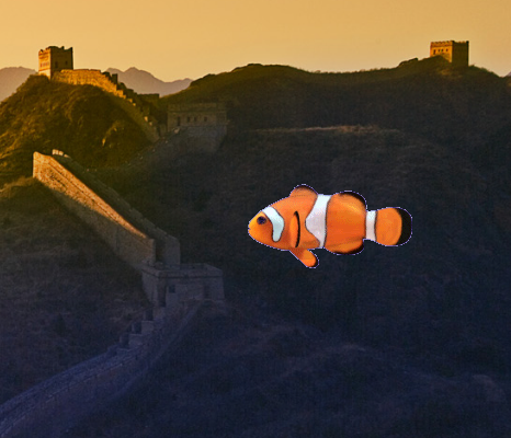 Asp.net, JavaScript, C#, Windows Tips and Tricks: Animated Fish For