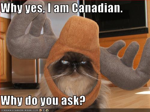 [funny-pictures-cat-is-canadian.jpg]