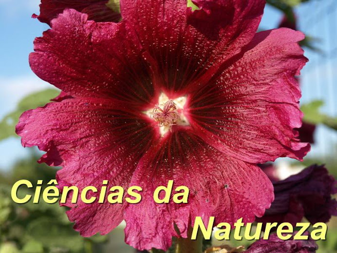 Pratica Ciências da Natureza...