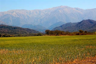 Metán en la web de Diputados
