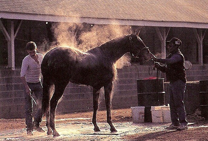 Thursday, June 25, 2009,  we met at Churchill Downs