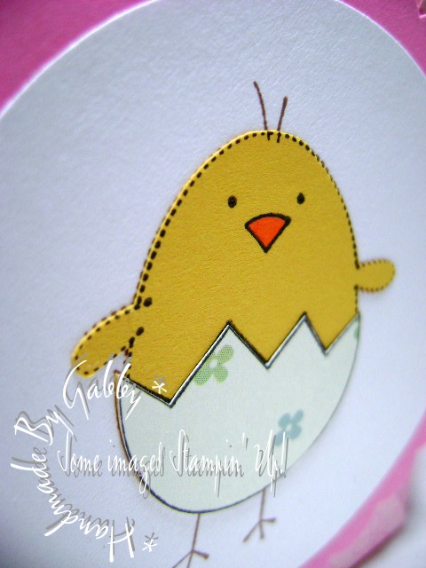 [Hop+Into+Spring+ABC]