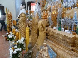 [P1180055_resize.JPG]