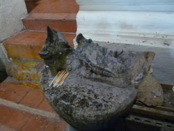 [P1180059_resize.JPG]